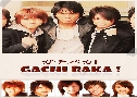 Gachi Baka   2  Ѻ (ѵִ -  ǧNEWS)