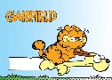 Garfield (Ŵ Ǩǹ)   3  ҡ