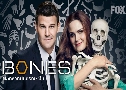 Bones Season 1 (⺹ ԡҡó  1)   11  Ѻ