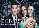 Bones Season 5 (⺹ ԡҡó  5)   11  Ѻ