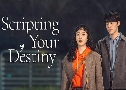 Scripting Your Destiny เทพจำแลงเขียนบทรัก (2021)   3 แผ่น ซับไทย