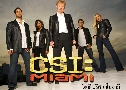 CSI Miami Season 7 (CSI 䢤ջȹ  7)  6  Ѻ
