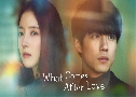 What Comes After Love ѡ͹ҡ (2024)   2 蹨 ҡ+Ѻ (ͧ + ह)