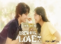 Brewing Love ѡ (2024)   3 蹨 Ѻ (ը͹ + ૨ͧ)